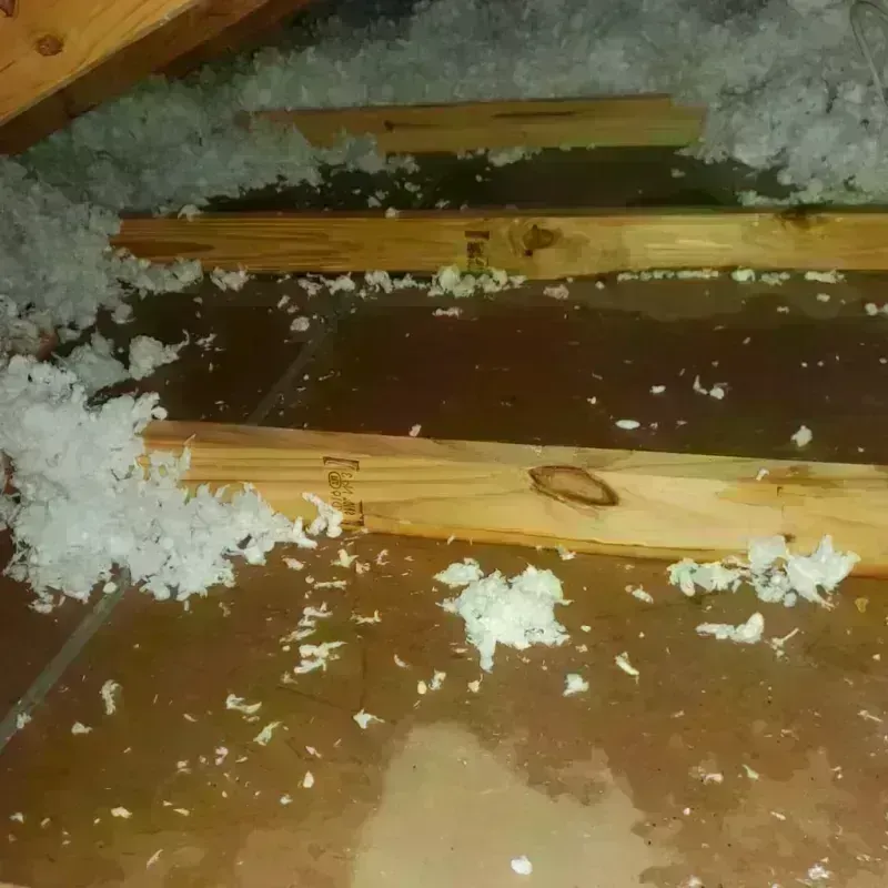 Attic Water Damage in Waterloo, IA