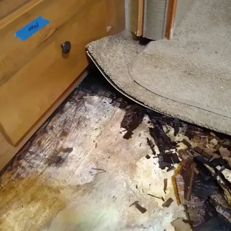 Wood Floor Water Damage in Waterloo, IA